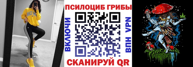 Галлюциногенные грибы прущие грибы  Купить где  Шлиссельбург 